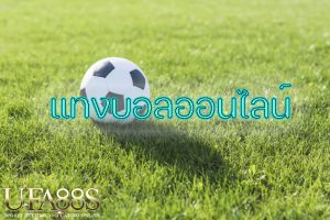 เว็บบอลราคาดี